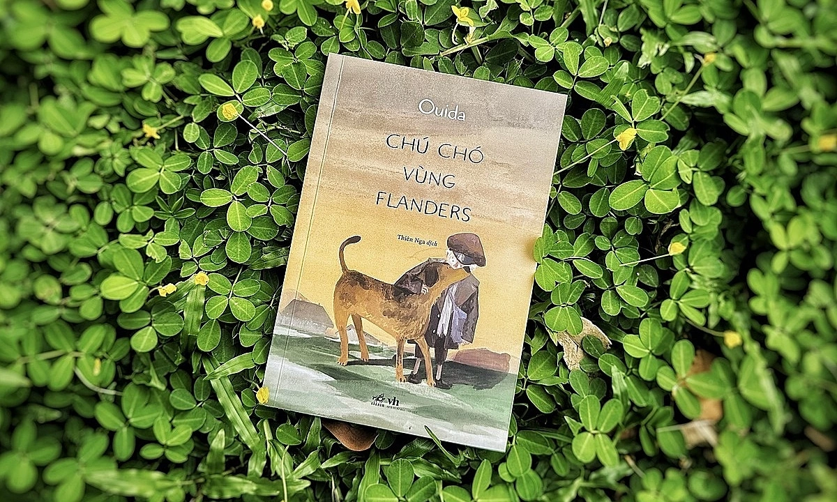 Chú chó vùng Flanders và thông điệp vượt nghịch cảnh trong thế giới giải trí hiện đại - hình ảnh - kjcbet.vip Chú chó vùng Flanders và thông điệp vượt nghịch cảnh trong thế giới giải trí hiện đại - hình ảnh - kjcbet.vip