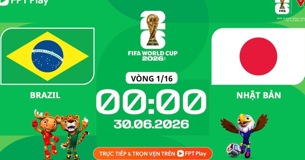 Nhận định Brazil vs Nhật Bản: Trận cầu căng thẳng và cơ hội cược hấp dẫn tại KJC - hình ảnh - kjcbet.vip